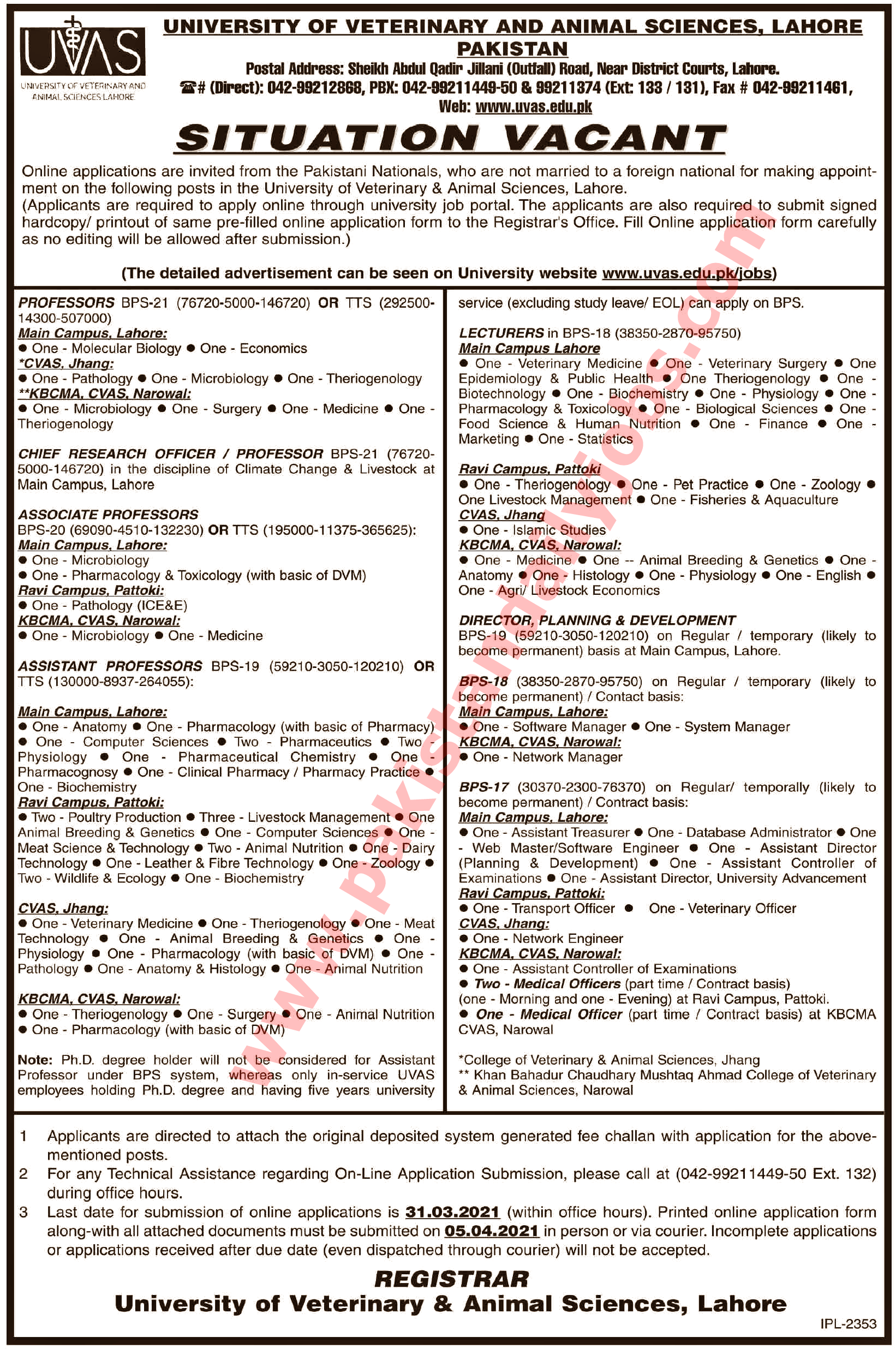 This is advertisement image of University of Veterinary and Animal Sciences (UVAS) Lahore jobs